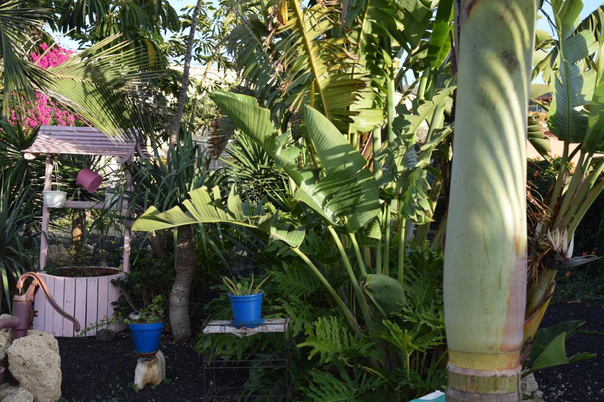 Villa Daita 2 Villa Daita 3 กรานาดิลญา เด อาโบนา ภายนอก รูปภาพ