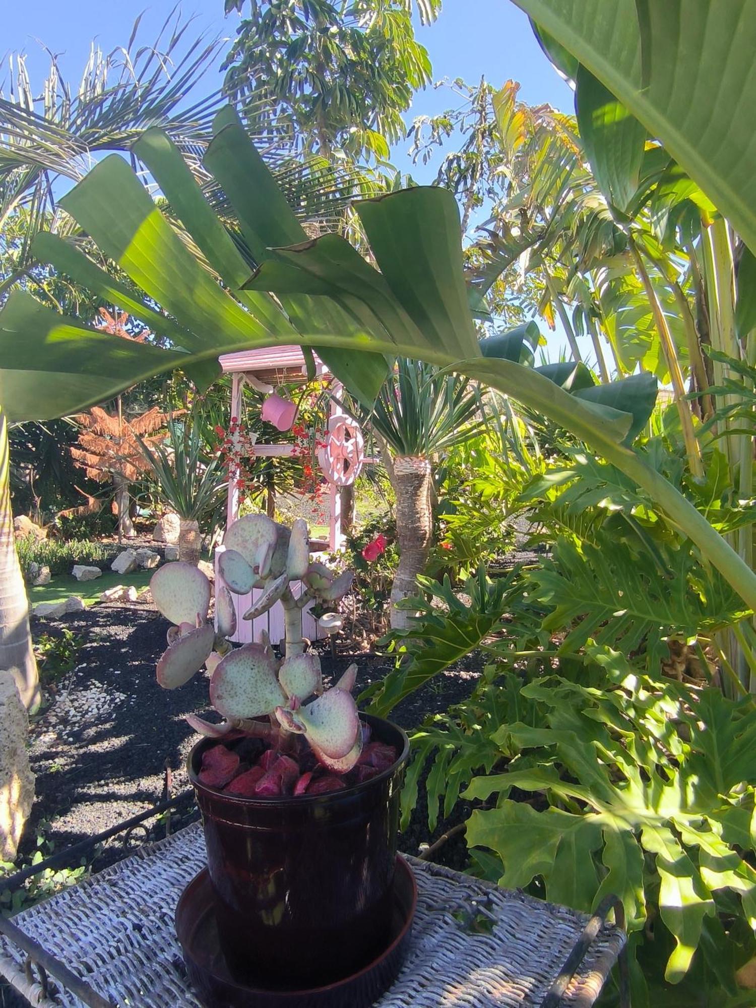Villa Daita 2 Villa Daita 3 กรานาดิลญา เด อาโบนา ภายนอก รูปภาพ