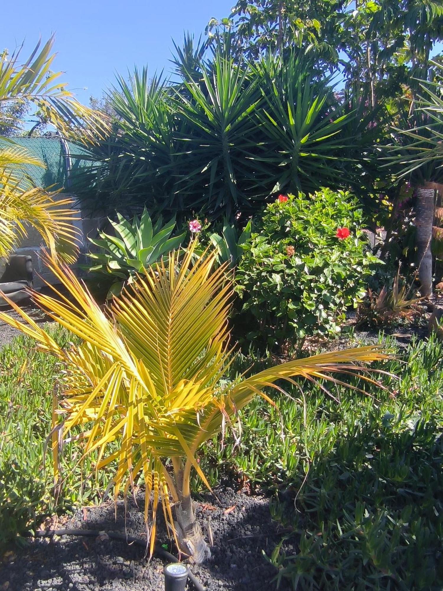 Villa Daita 2 Villa Daita 3 กรานาดิลญา เด อาโบนา ภายนอก รูปภาพ
