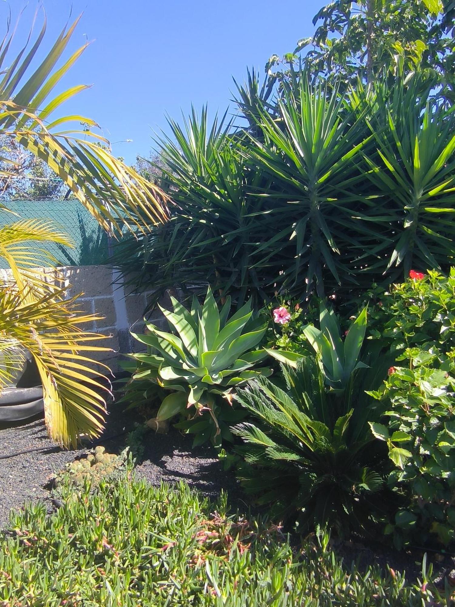 Villa Daita 2 Villa Daita 3 กรานาดิลญา เด อาโบนา ภายนอก รูปภาพ